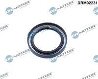 Dr.Motor Automotive DRM02231 Wellendichtring, Kurbelwelle