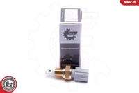 ESEN SKV 17SKV684 Sensor, Ansauglufttemperatur