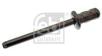 FEBI BILSTEIN 48609 Blindniet