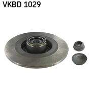 SKF VKBD1029 Bremsscheibe