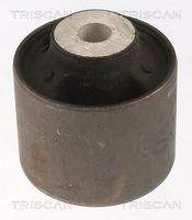 TRISCAN 850081803 Lagerung, Lenker