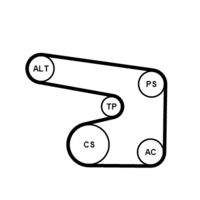 CONTINENTAL CTAM 6PK1900K1 Keilrippenriemensatz