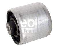 FEBI BILSTEIN 173168 Lagerung, Lenker