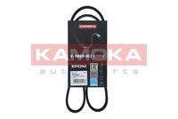 KAMOKA 7013020 Keilrippenriemen