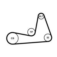 CONTINENTAL CTAM 6PK1130K1 Keilrippenriemensatz