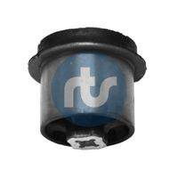 RTS 01700816 Lagerung, Lenker