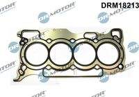 Dr.Motor Automotive DRM18213 Dichtung, Zylinderkopf