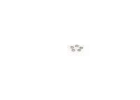 BOSCH F00ZC99065 Reparatursatz, Common-Rail-System