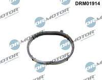 Dr.Motor Automotive DRM01914 Dichtung, Ansaugkrümmer