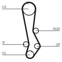 CONTINENTAL CTAM CT876 Zahnriemen