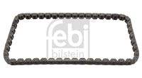 FEBI BILSTEIN 45955 Steuerkette