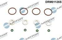 Dr.Motor Automotive DRM01126S Dichtungssatz, Einspritzdüse