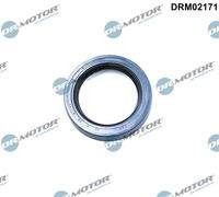Dr.Motor Automotive DRM02171 Wellendichtring, Differential