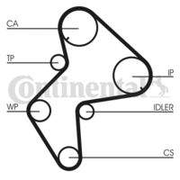 CONTINENTAL CTAM CT775 Zahnriemen
