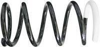SACHS 996894 Fahrwerksfeder