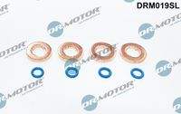 Dr.Motor Automotive DRM019SL Dichtungssatz, Einspritzdüse