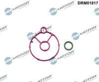 Dr.Motor Automotive DRM01817 Dichtungssatz, Ölkühler