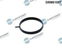 Dr.Motor Automotive DRM01957 Dichtung, Drosselklappenstutzen