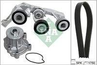 Schaeffler INA 529008131 Wasserpumpe + Keilrippenriemensatz