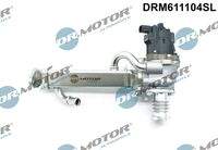 Dr.Motor Automotive DRM611104SL AGR-Ventil