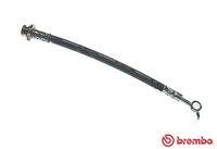 BREMBO T56162 Bremsschlauch