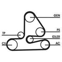 CONTINENTAL CTAM 6PK1613D1 Keilrippenriemensatz