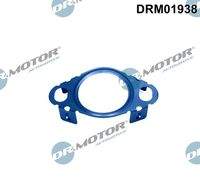 Dr.Motor Automotive DRM01938 Dichtung, Leitung AGR-Ventil