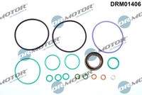 Dr.Motor Automotive DRM01406 Reparatursatz, Kraftstoffpumpe