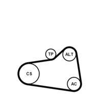 CONTINENTAL CTAM 6PK905EXTRAK1 Keilrippenriemensatz