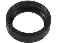 AS-PL SRS6039 Reparatursatz, Starter