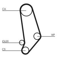 CONTINENTAL CTAM CT539 Zahnriemen