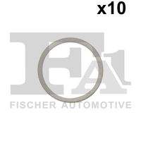 FA1 484310010 Dichtring
