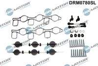 Dr.Motor Automotive DRM0780SL Reparatursatz, Saugrohrmodul