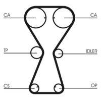 CONTINENTAL CTAM CT826 Zahnriemen