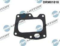 Dr.Motor Automotive DRM01818 Dichtung, AGR-Ventil