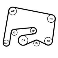 CONTINENTAL CTAM 6PK2155K1 Keilrippenriemensatz