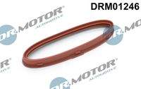 Dr.Motor Automotive DRM01246 Dichtring, Lader