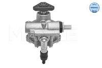 MEYLE 16166310001 Hydraulikpumpe, Lenkung