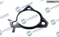 Dr.Motor Automotive DRM0579 Dichtung, Einspritzpumpe