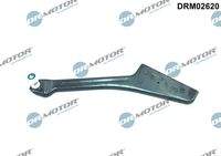 Dr.Motor Automotive DRM02620 Rollenführung, Schiebetür