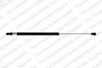 KILEN 442036 Gasfeder, Koffer-/Laderaum