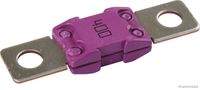 HERTH+BUSS ELPARTS 50295875 Sicherung
