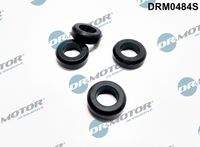 Dr.Motor Automotive DRM0484S Dichtring, Einspritzventil