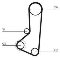CONTINENTAL CTAM CT836 Zahnriemen
