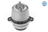 MEYLE 1001991187 Lagerung, Motor