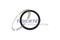 TRUCKTEC AUTOMOTIVE 0810093 Dichtring