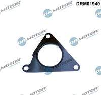 Dr.Motor Automotive DRM01940 Dichtung, AGR-Ventil