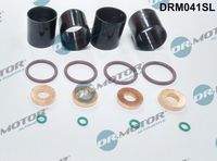 Dr.Motor Automotive DRM041SL Dichtungssatz, Einspritzdüse