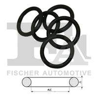 FA1 748020100 Dichtring
