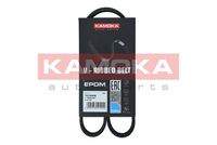 KAMOKA 7016008 Keilrippenriemen